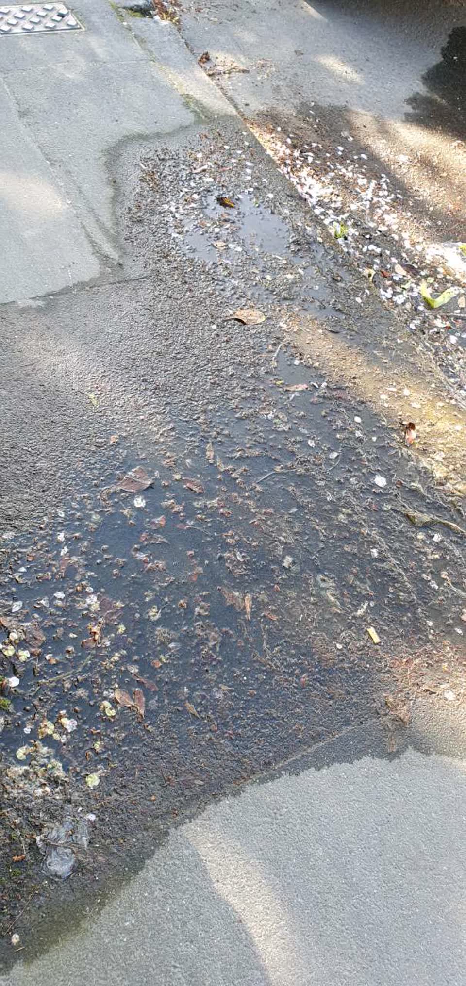 The photograph attached to this water supply report