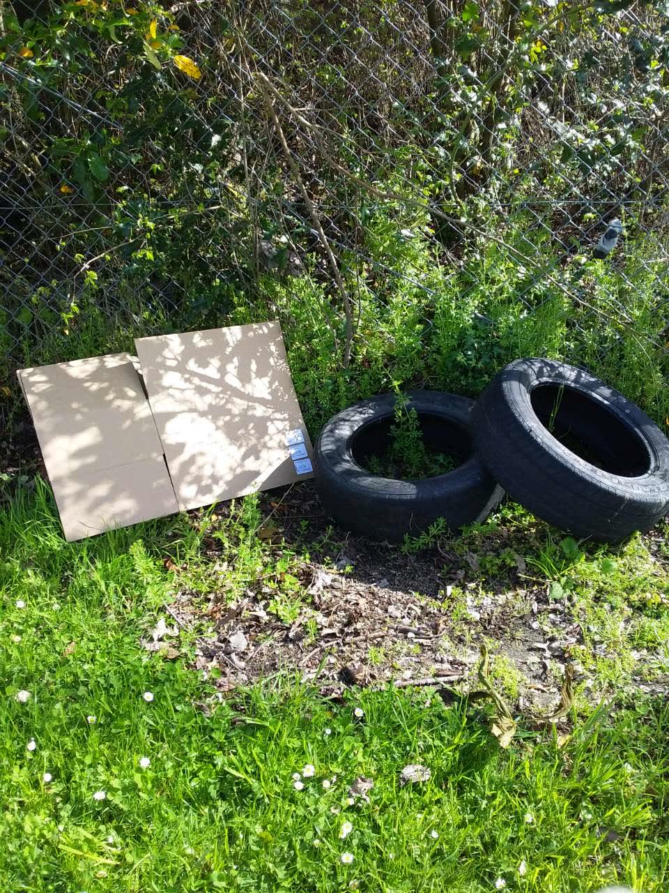 The photograph attached to this rubbish/recycling report
