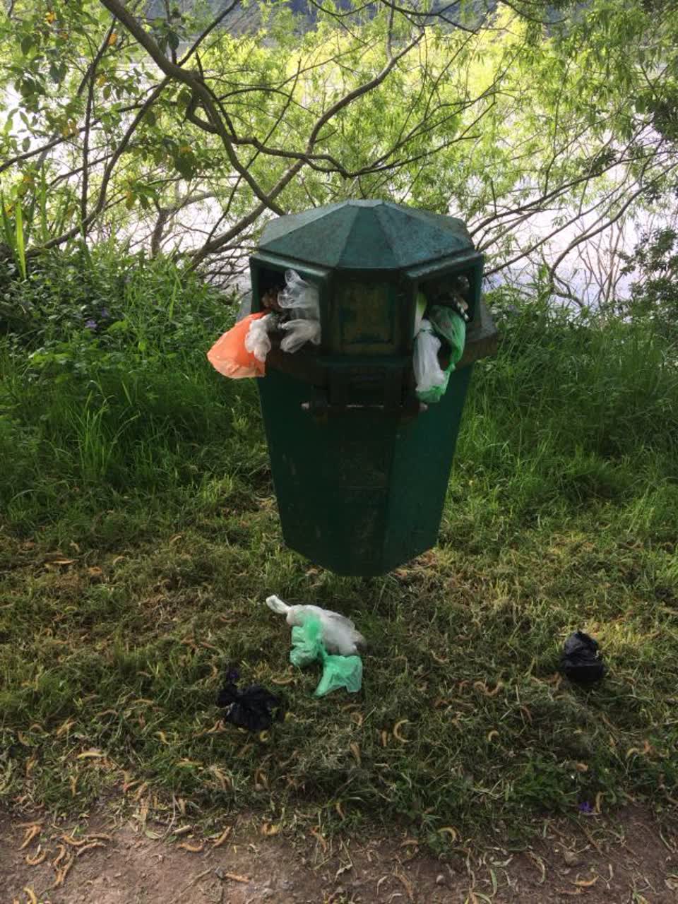 The photograph attached to this rubbish/recycling report