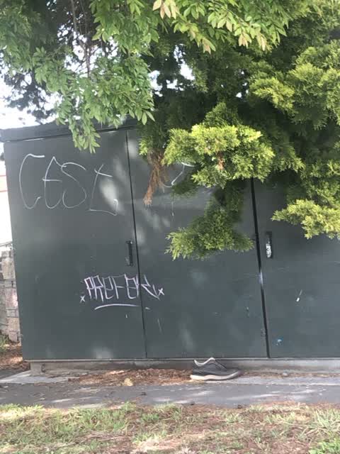 Graffiti, a report photo