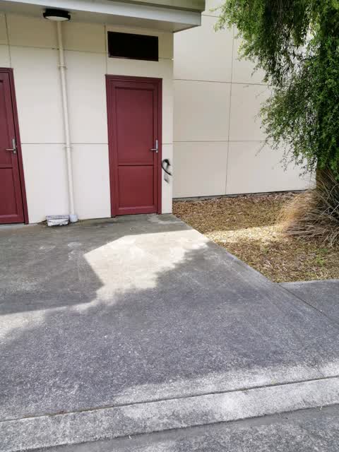 Graffiti — a report photo