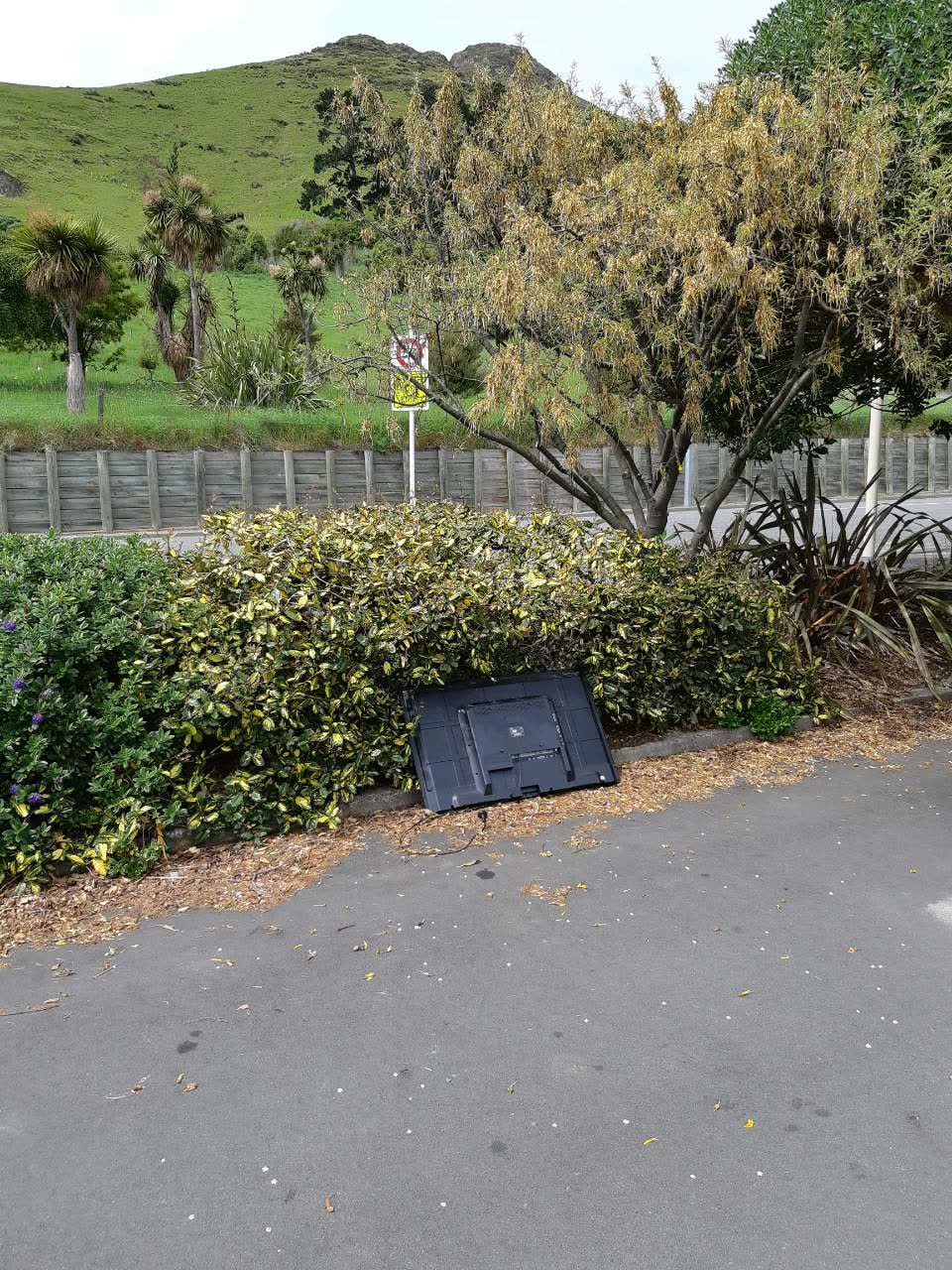 The photograph attached to this rubbish/recycling report