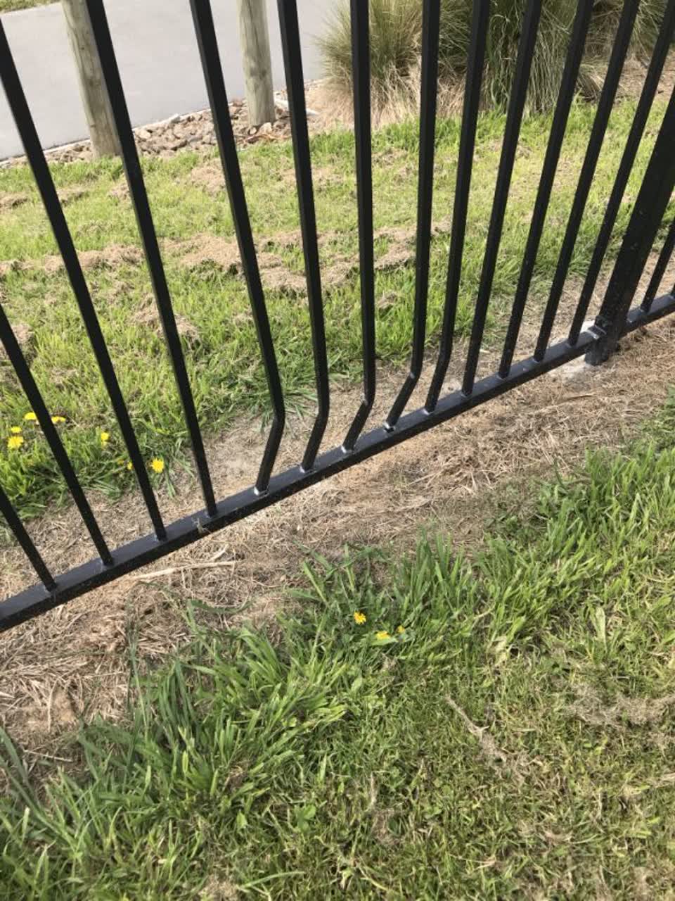 The photograph attached to this parks report