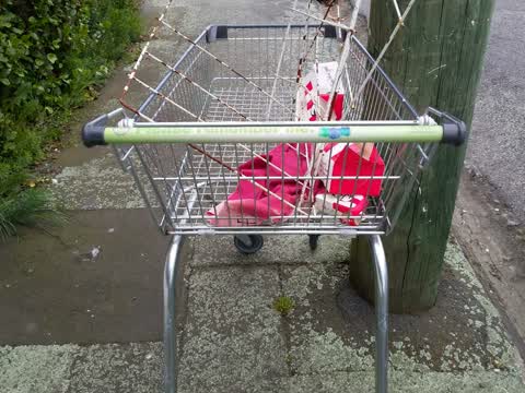 Rubbish/Recycling, a report photo