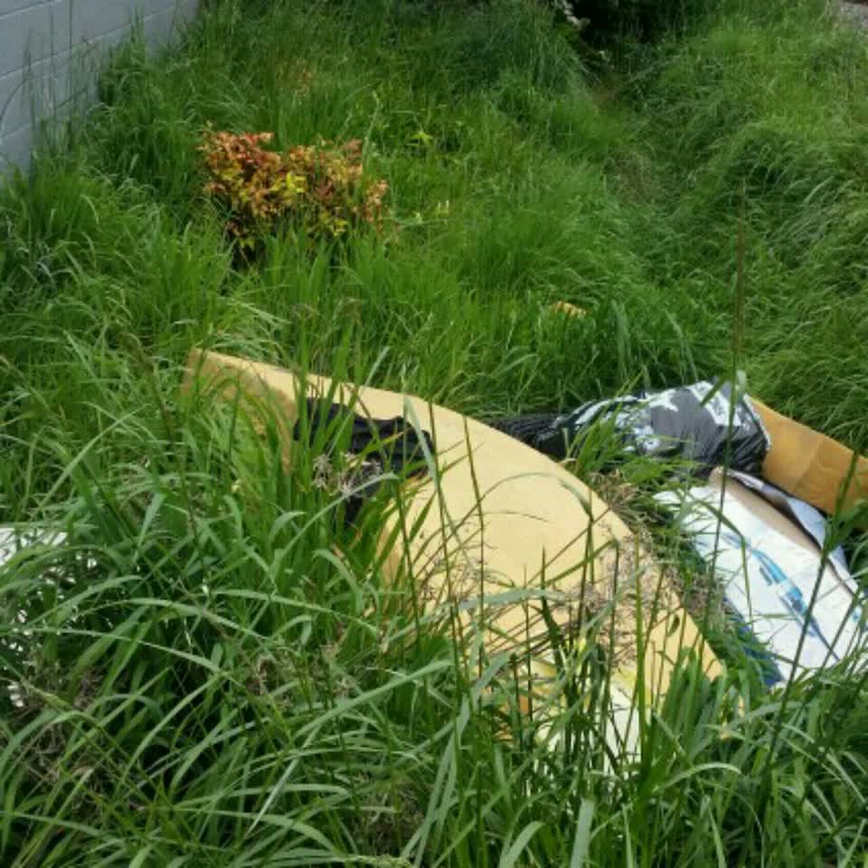 The photograph attached to this rubbish/recycling report