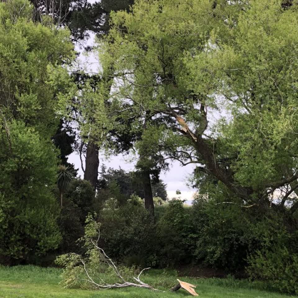 The photograph attached to this parks report