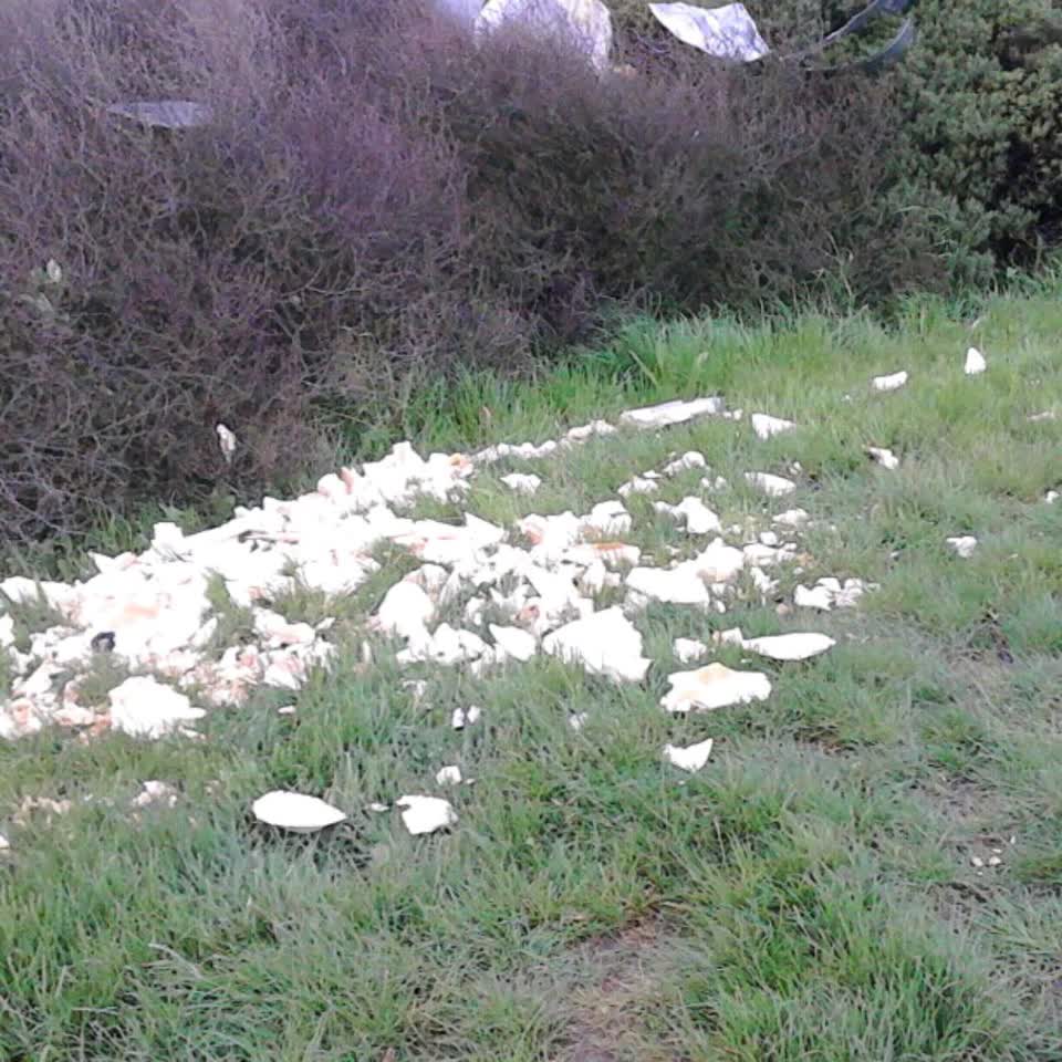The photograph attached to this rubbish/recycling report