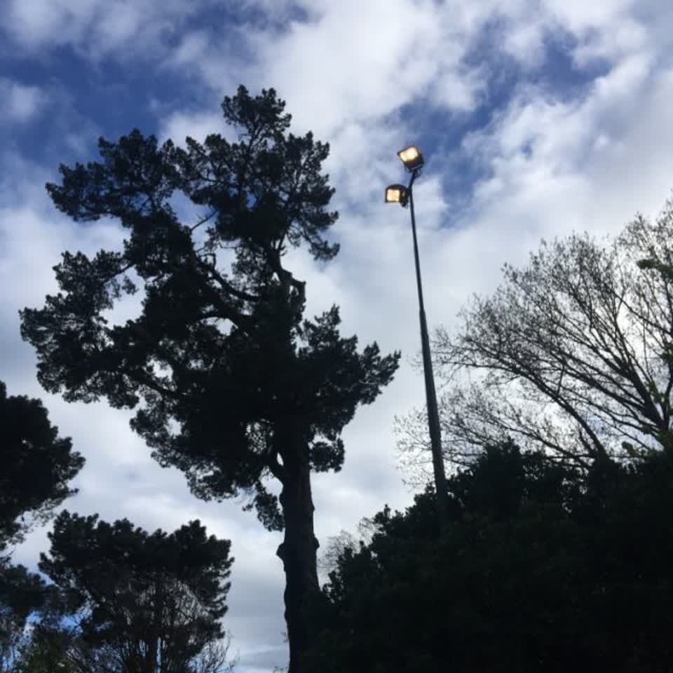 The photograph attached to this parks report