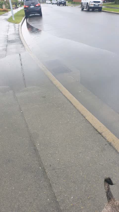 Wastewater/Stormwater, a report photo