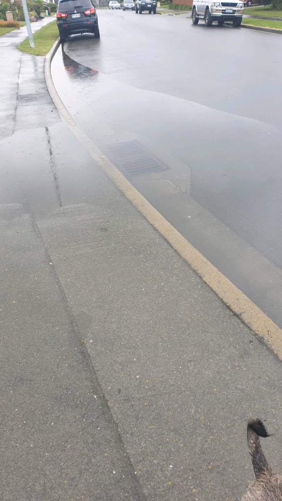 The photograph attached to this wastewater/stormwater report
