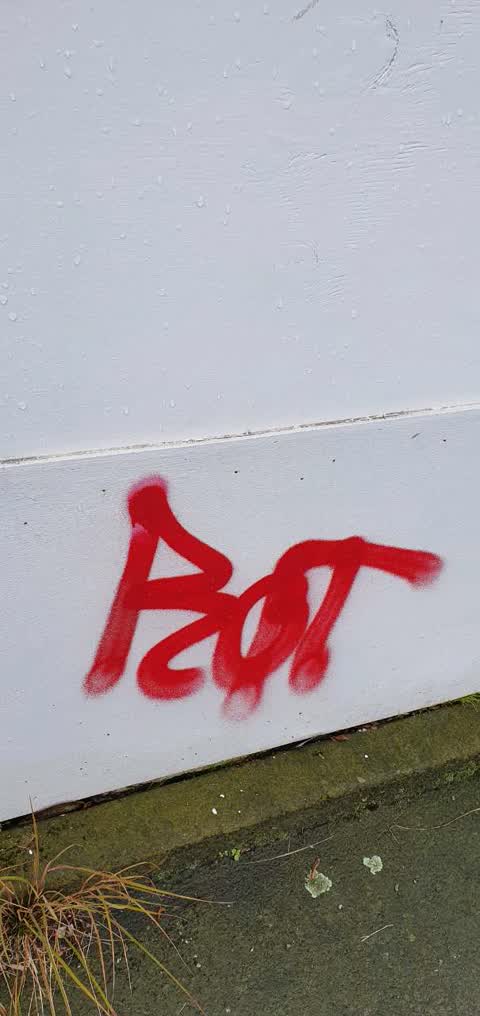 Graffiti, a report photo