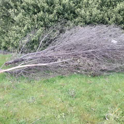 Parks, a report photo