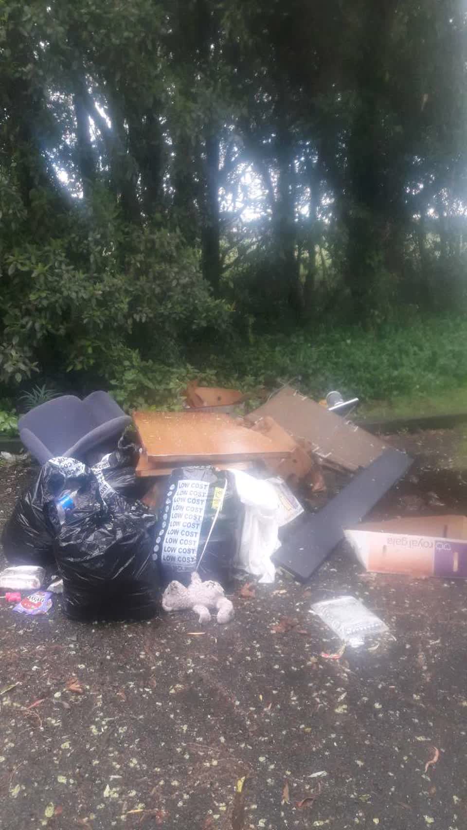 The photograph attached to this rubbish/recycling report