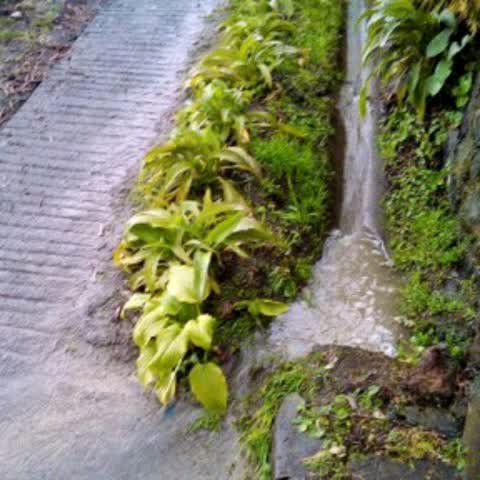 Wastewater/Stormwater — a report photo