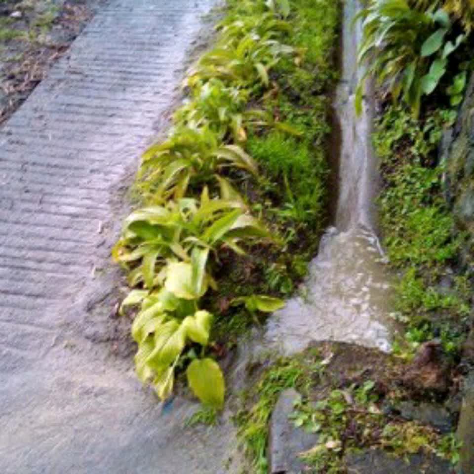 The photograph attached to this wastewater/stormwater report