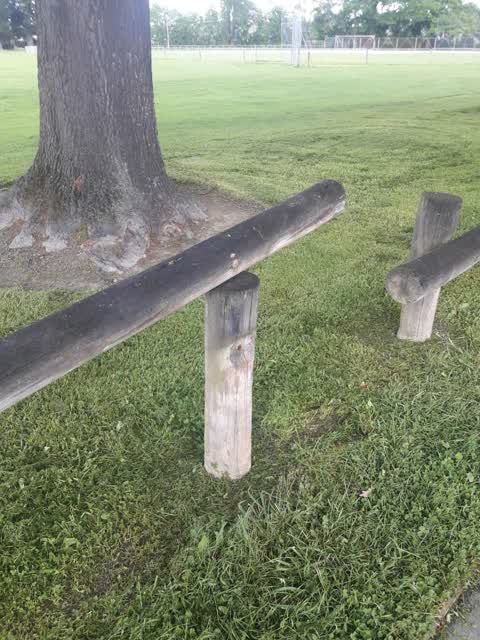 Parks, a report photo