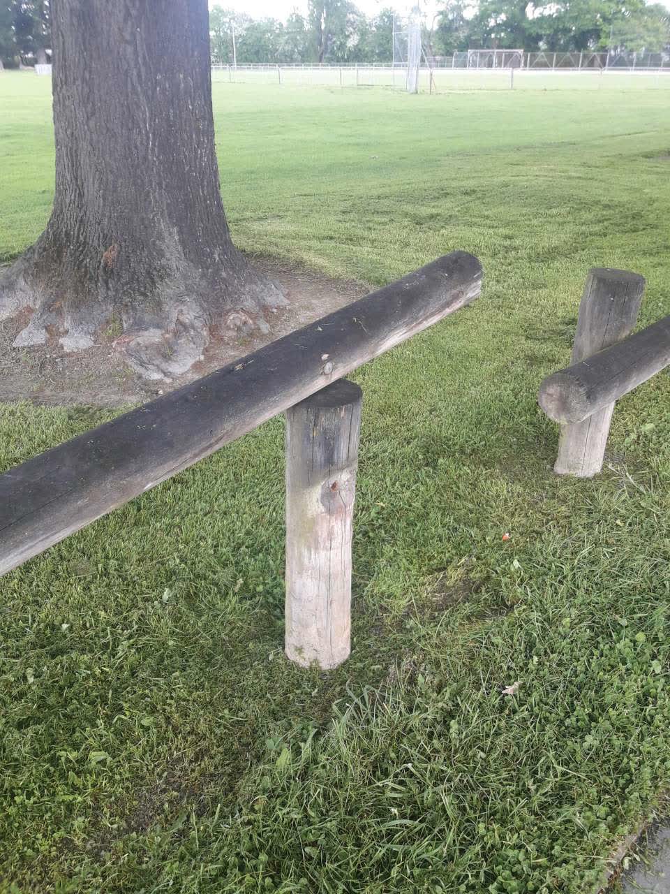The photograph attached to this parks report