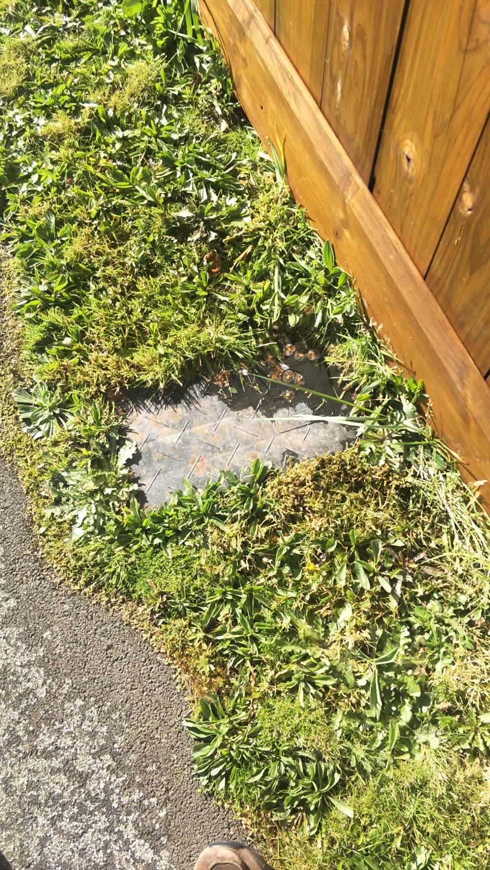 The photograph attached to this water supply report