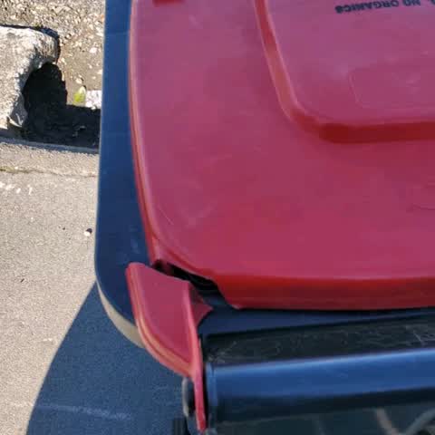 Rubbish/Recycling, a report photo