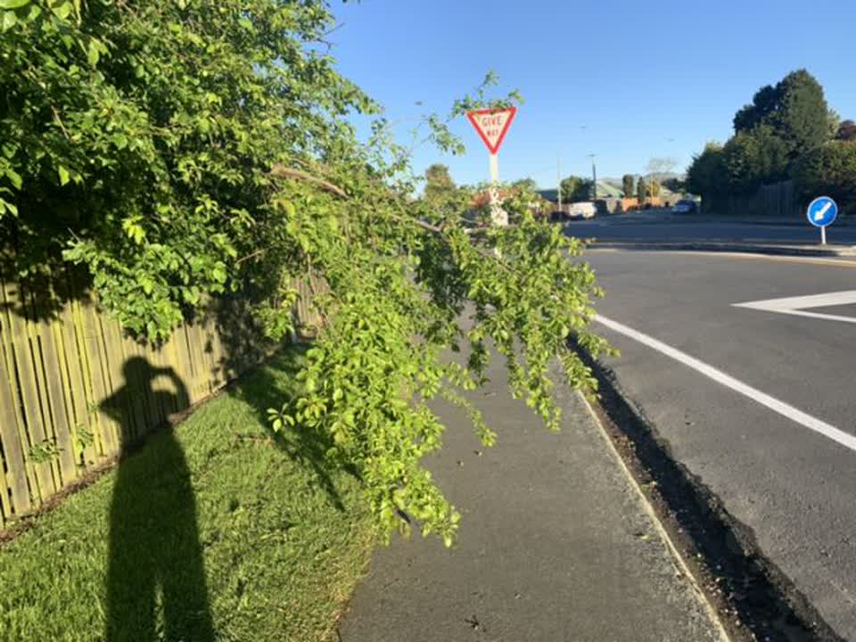 The photograph attached to this roading/streets report