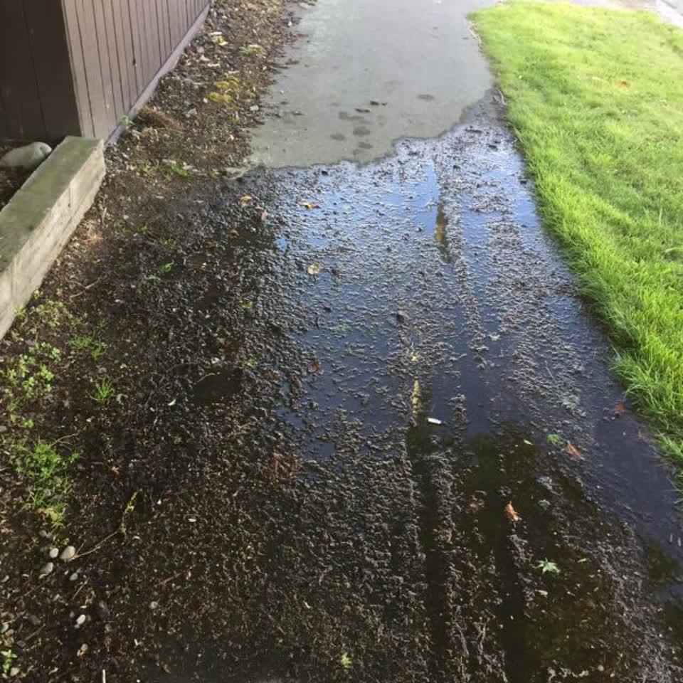 The photograph attached to this water supply report