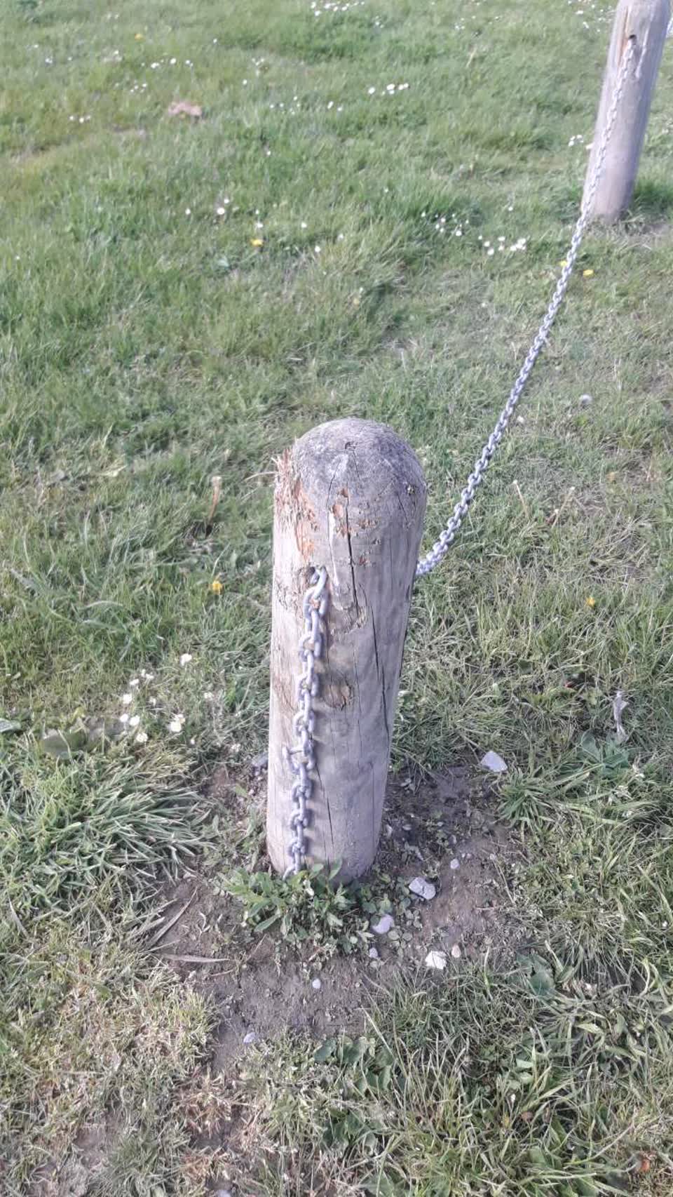 The photograph attached to this parks report