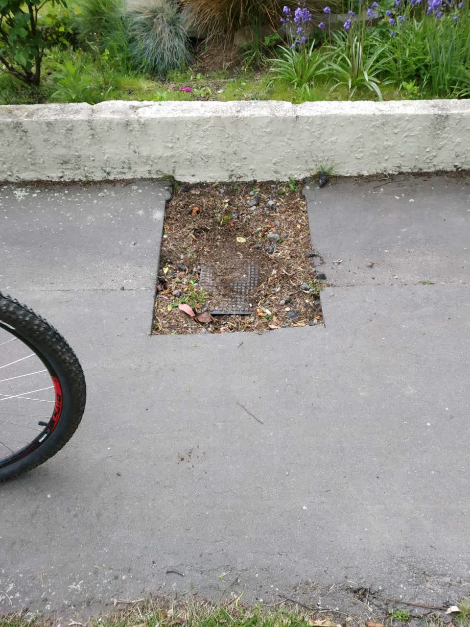 The photograph attached to this water supply report
