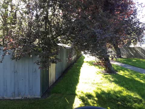 Parks, a report photo