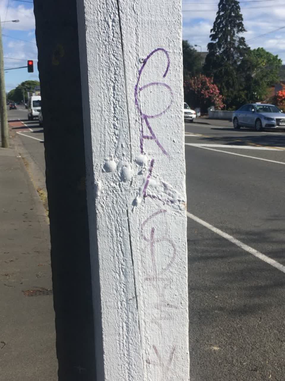 The photograph attached to this graffiti report