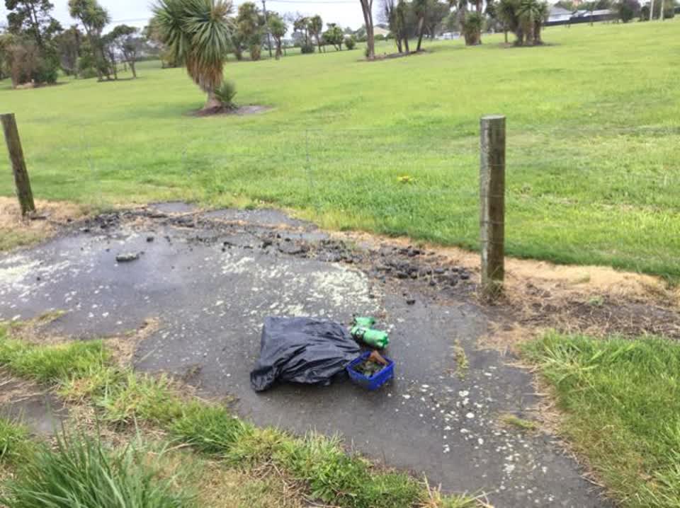 The photograph attached to this rubbish/recycling report