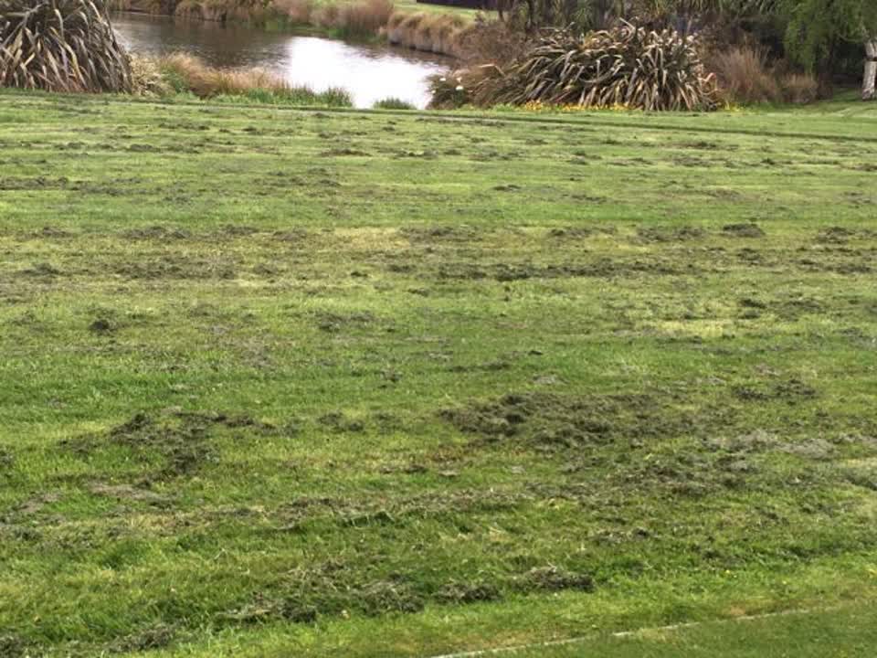 The photograph attached to this parks report