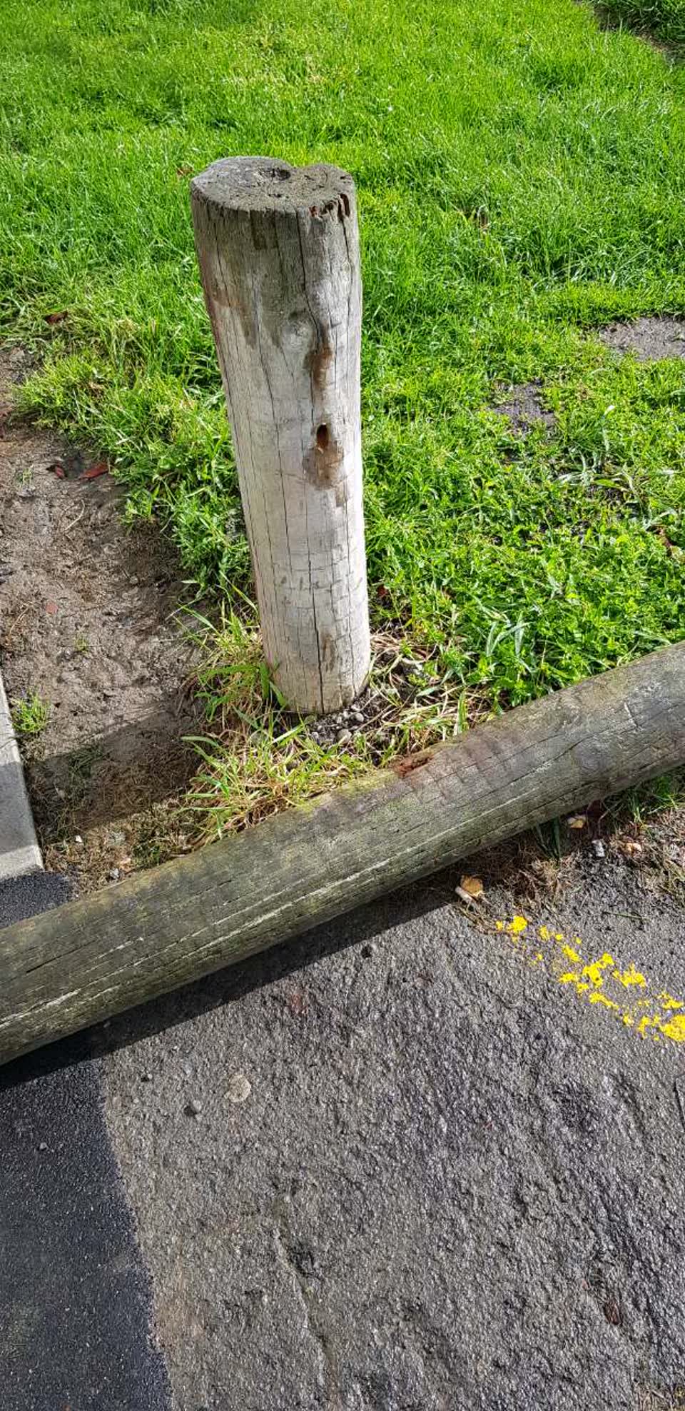 The photograph attached to this parks report
