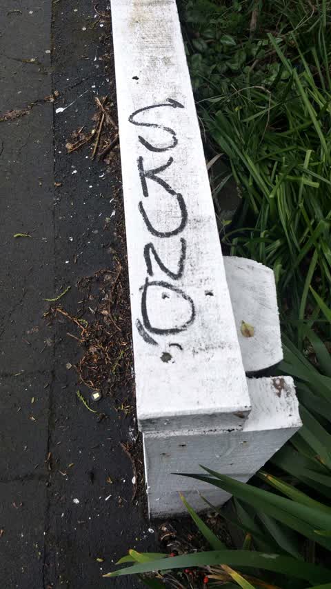 Graffiti, a report photo