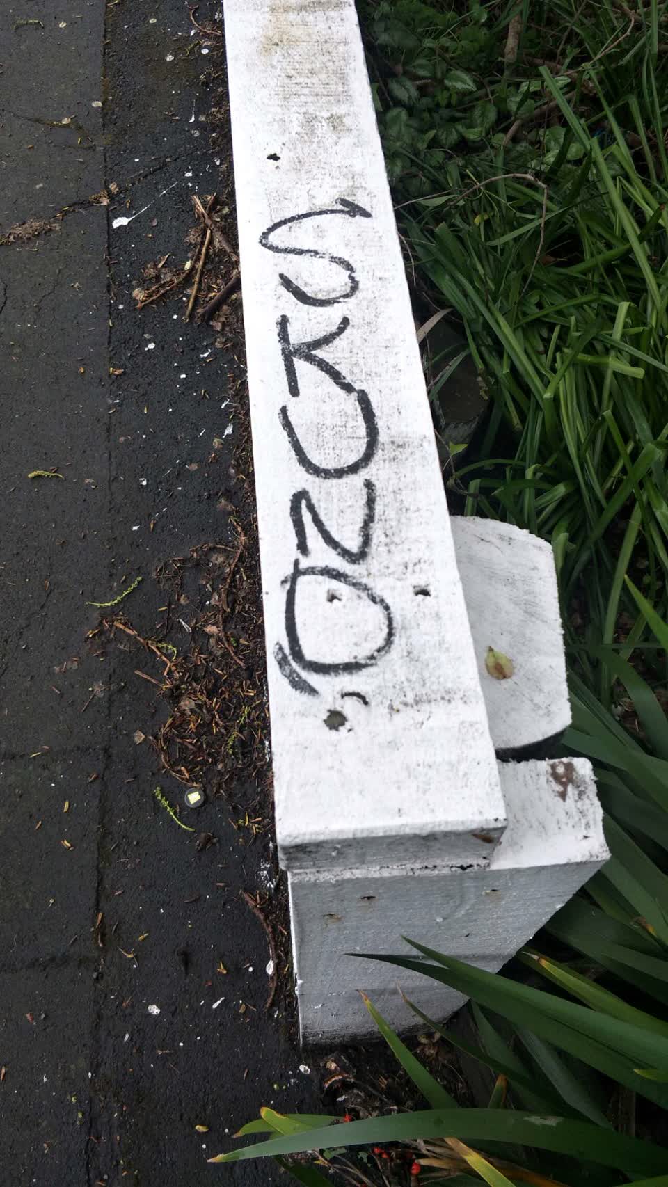 The photograph attached to this graffiti report