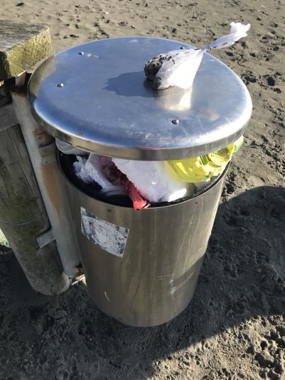 The photograph attached to this rubbish/recycling report