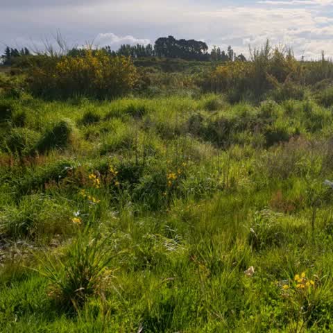 Parks, a report photo