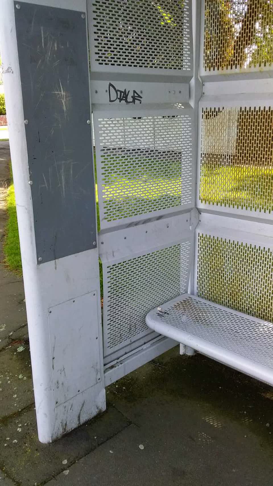 The photograph attached to this graffiti report