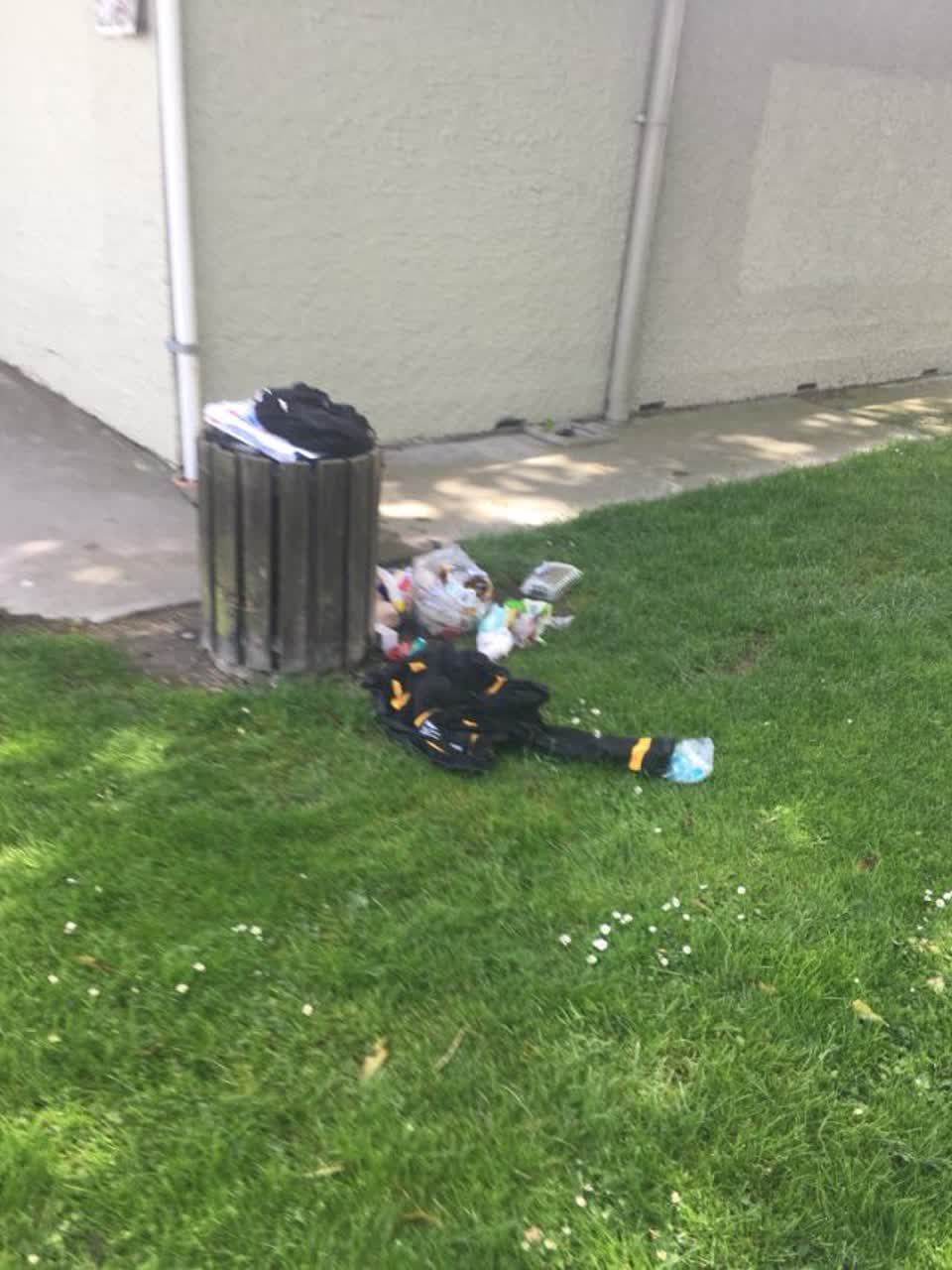 The photograph attached to this parks report