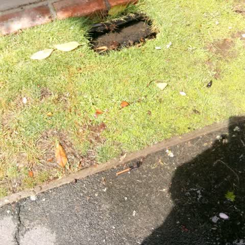 Flooding, a report photo