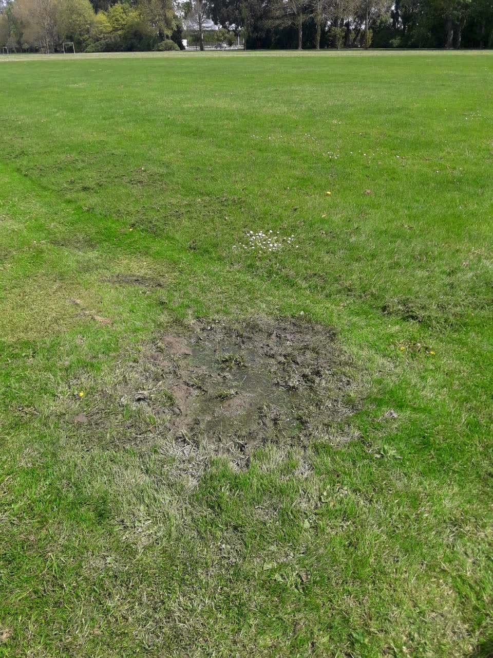 The photograph attached to this parks report