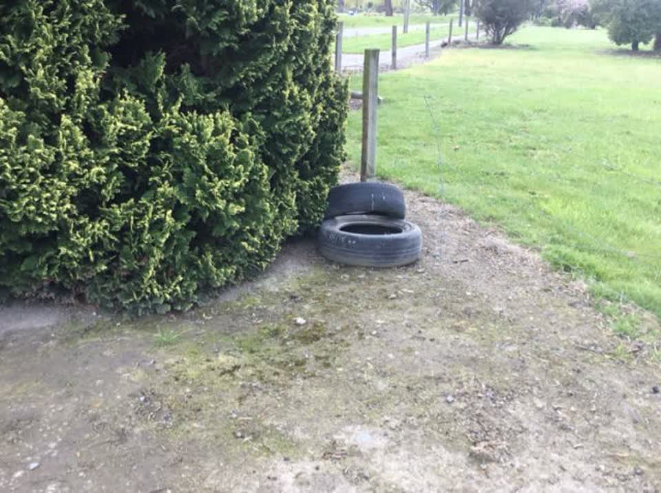 The photograph attached to this rubbish/recycling report