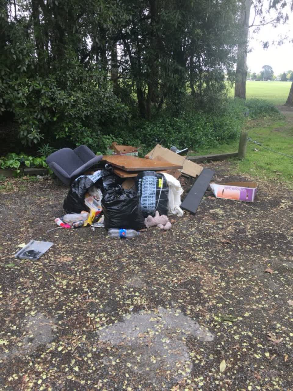 The photograph attached to this parks report
