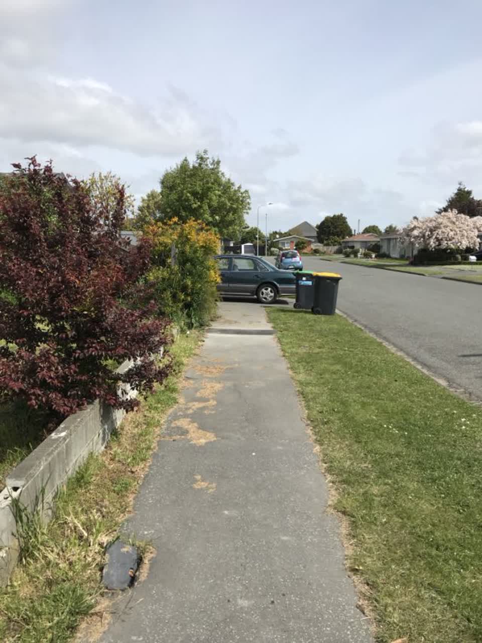 The photograph attached to this roading/streets report