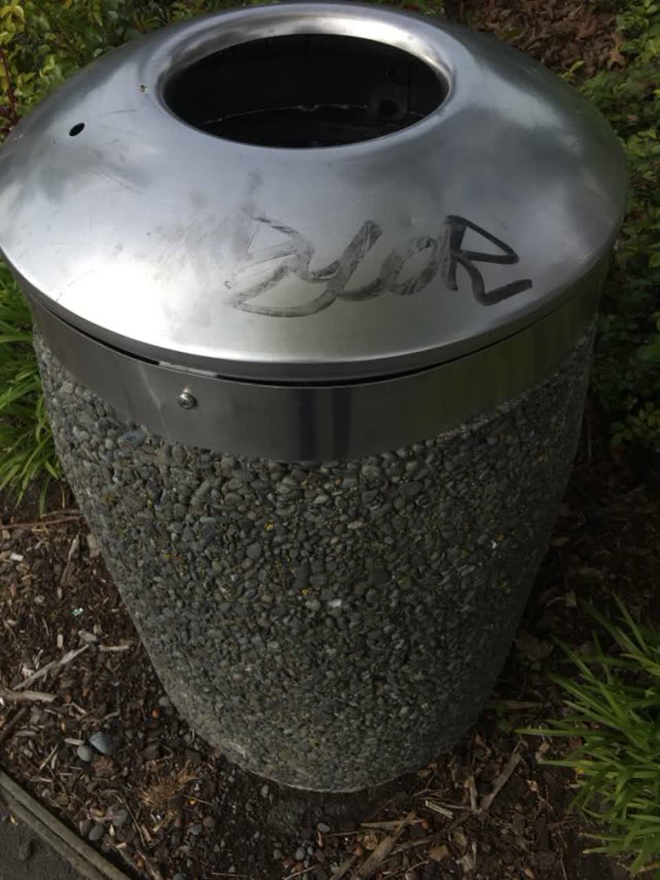 The photograph attached to this graffiti report