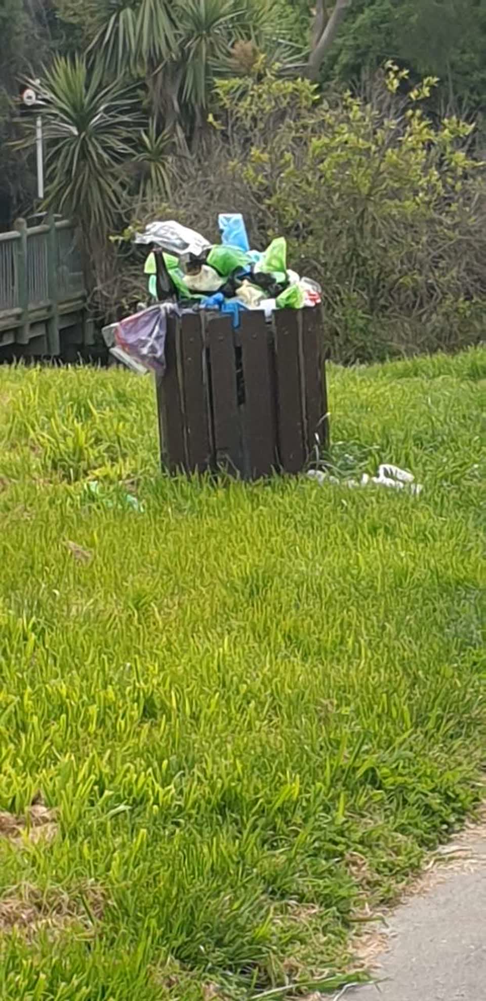 The photograph attached to this rubbish/recycling report