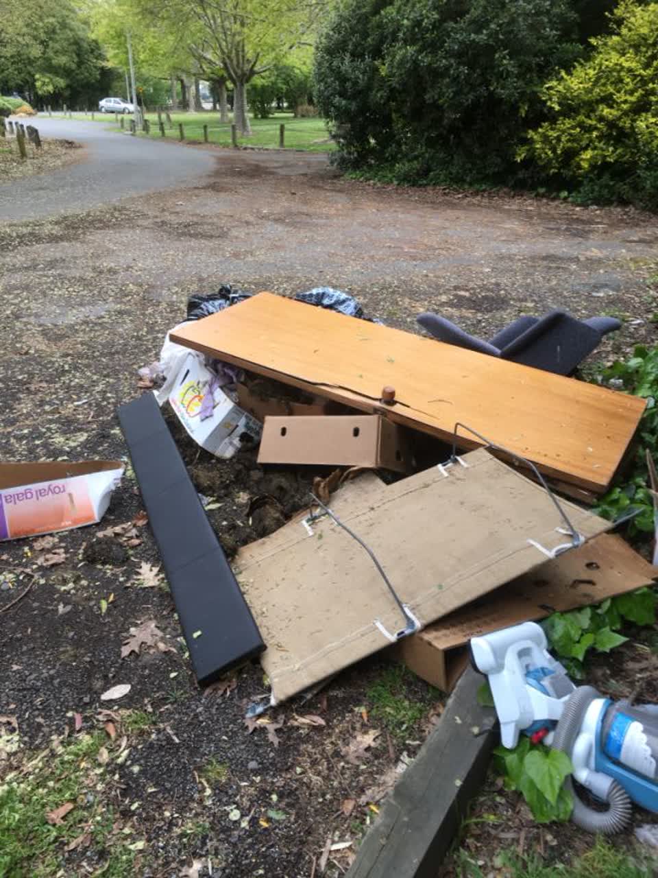 The photograph attached to this rubbish/recycling report