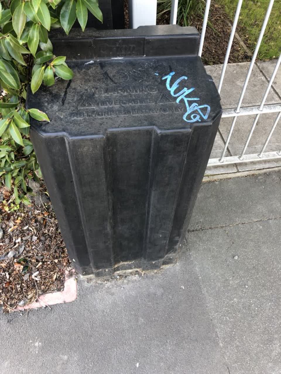 The photograph attached to this graffiti report