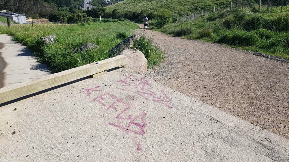The photograph attached to this graffiti report