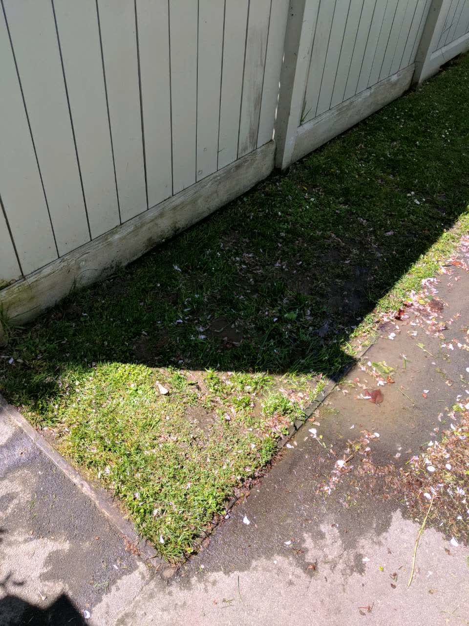 The photograph attached to this water supply report