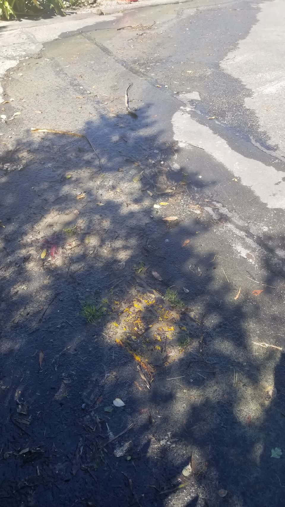 The photograph attached to this water supply report